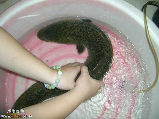 ��Ҳ²¿�����ʲô~~~~