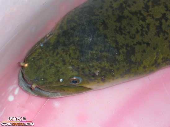 ��Ҳ²¿�����ʲô~~~~