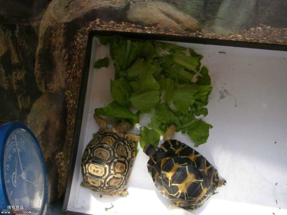 �����ͷ������