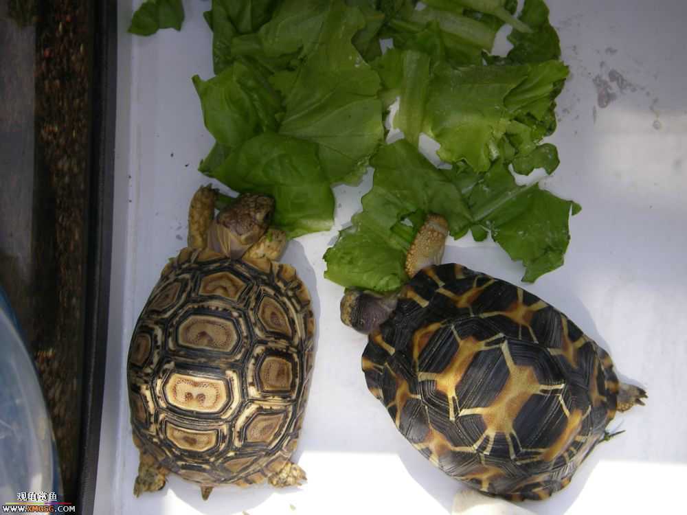 �����ͷ������