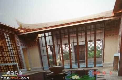 06.10.02 ѹ����