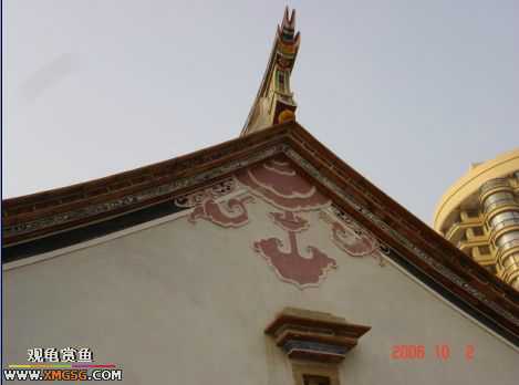 06.10.02 ѹ����