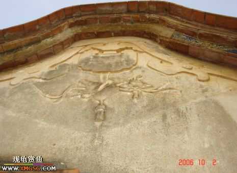 06.10.02 ѹ����