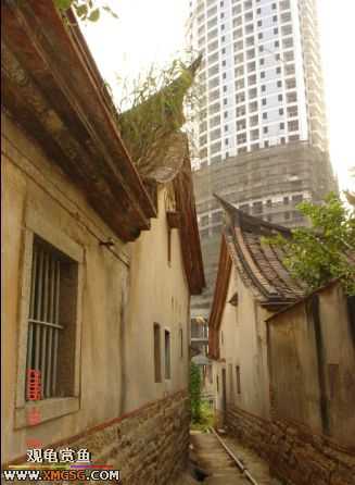 06.10.02 ѹ����