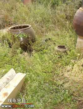 06.10.02 ѹ����