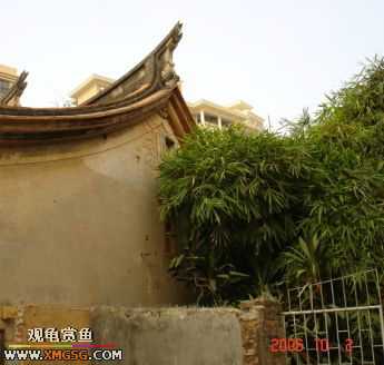 06.10.02 ѹ����