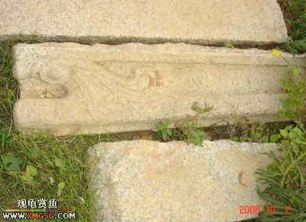 06.10.02 ѹ����