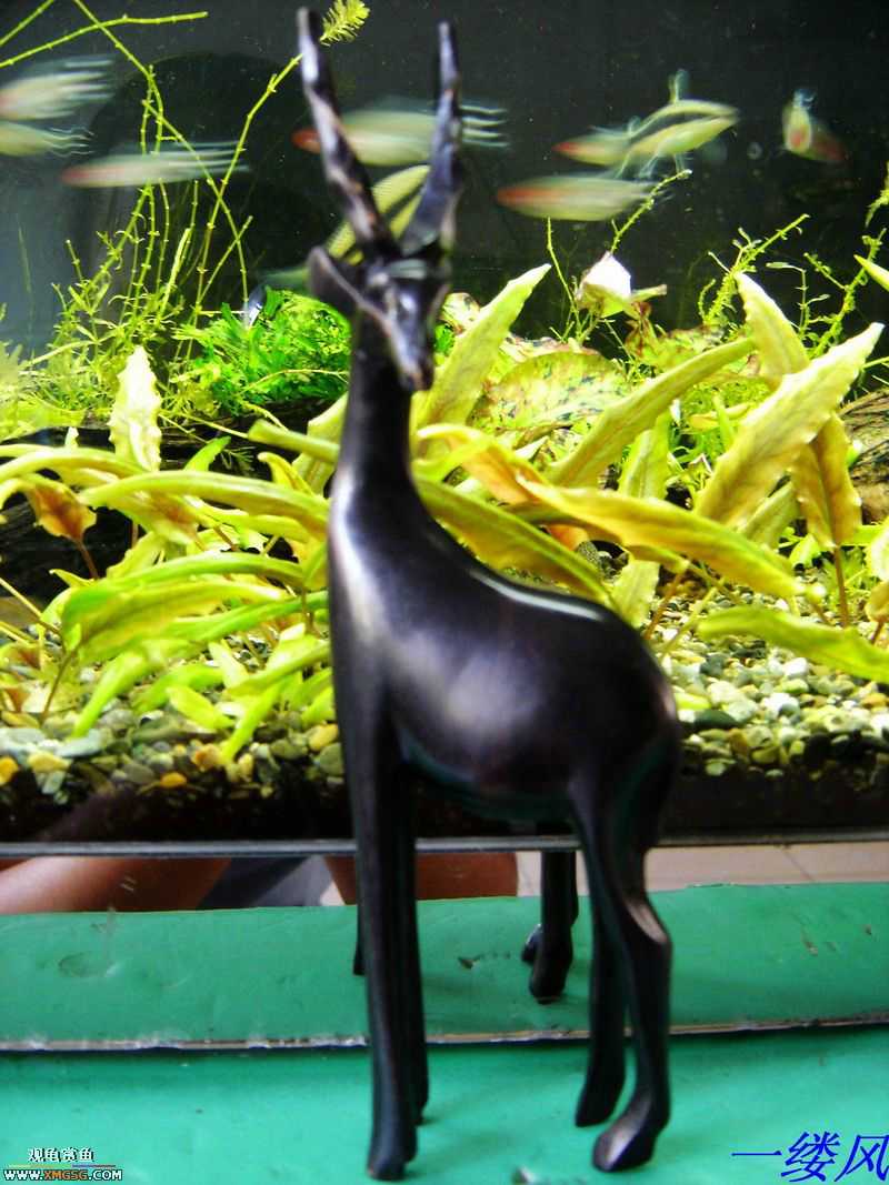 �ӿ����Ǵ�������