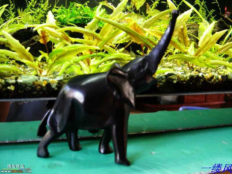 �ӿ����Ǵ�������