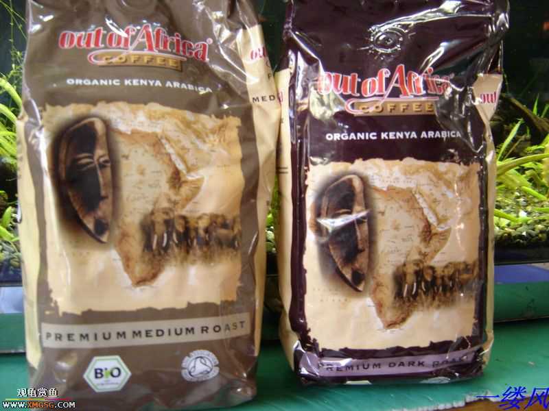 �ӿ����Ǵ�������