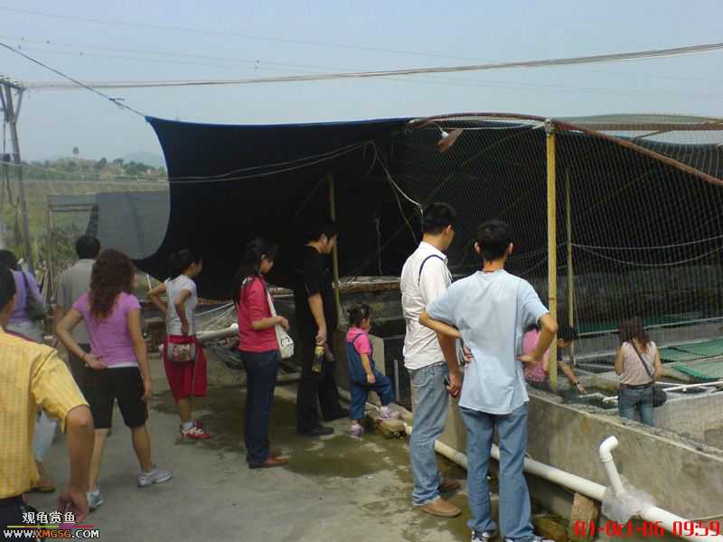 ���������С�����