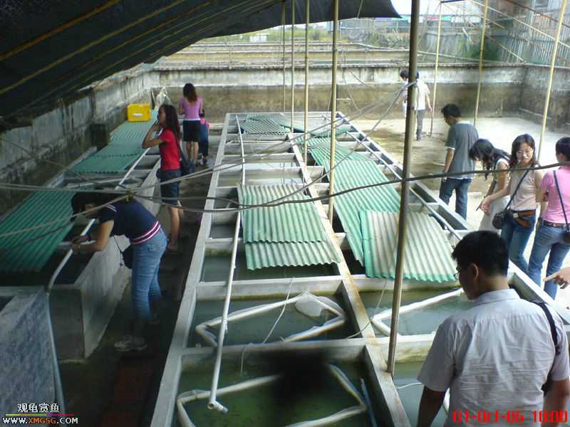 ���������С�����