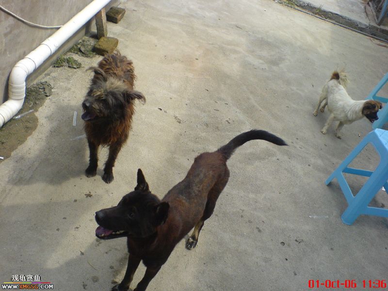 ���������С�����