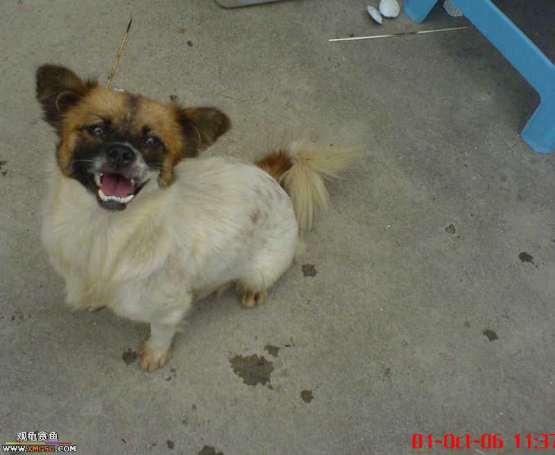 ���������С�����