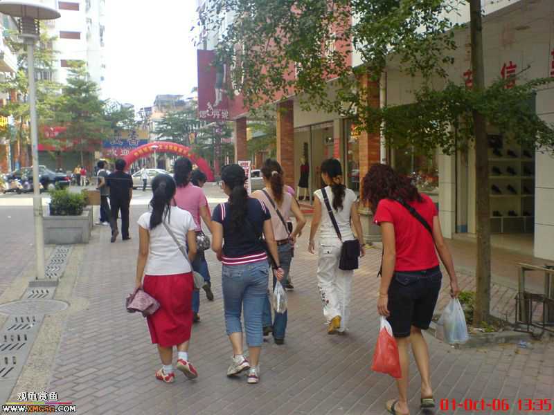 ���������С�����