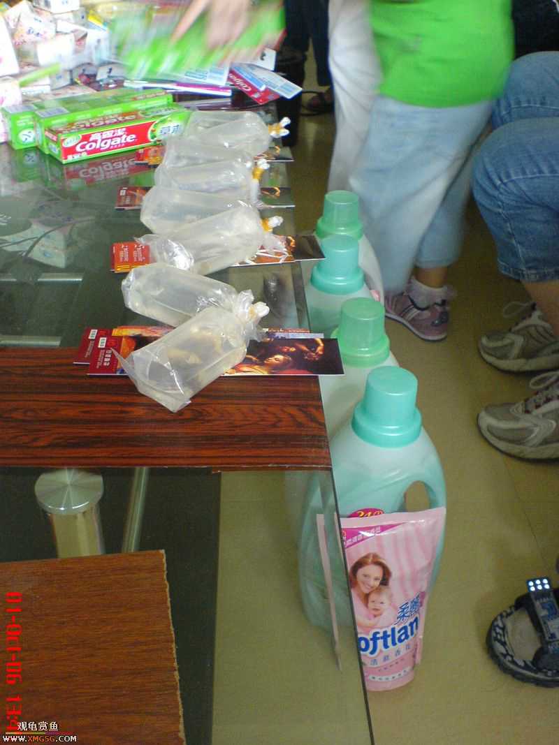 ���������С�����