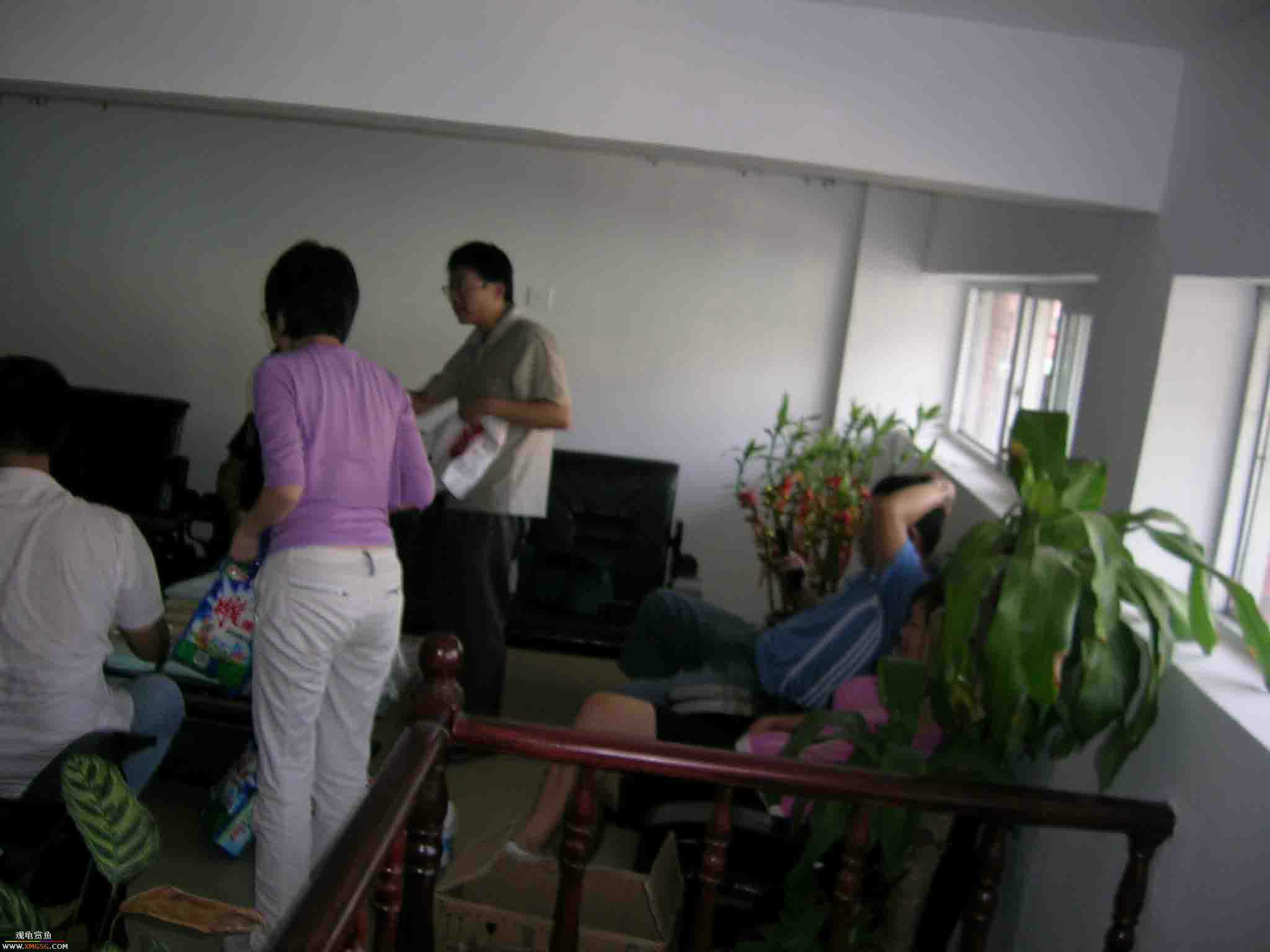 ���������С�����