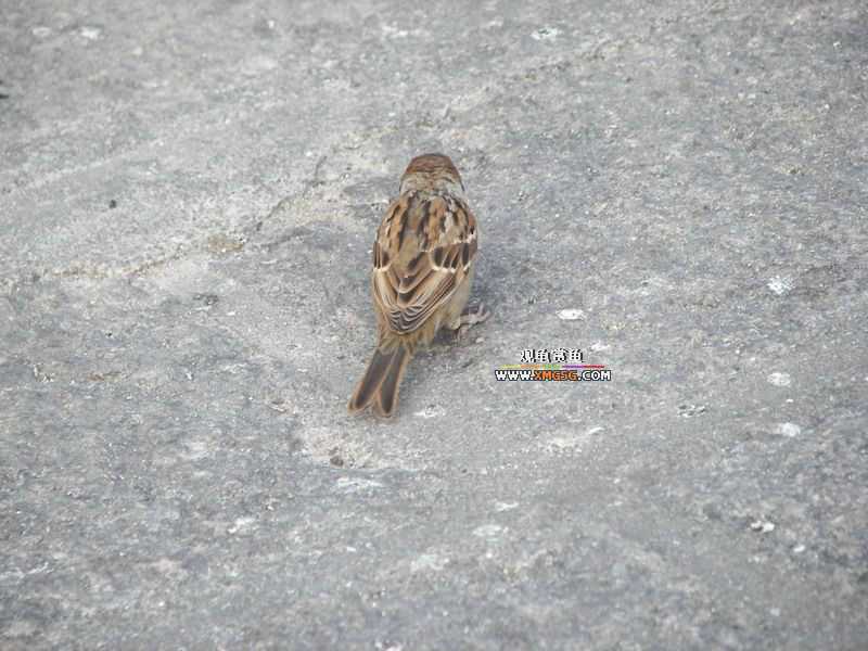 ǰЩʱ���������ĵ�