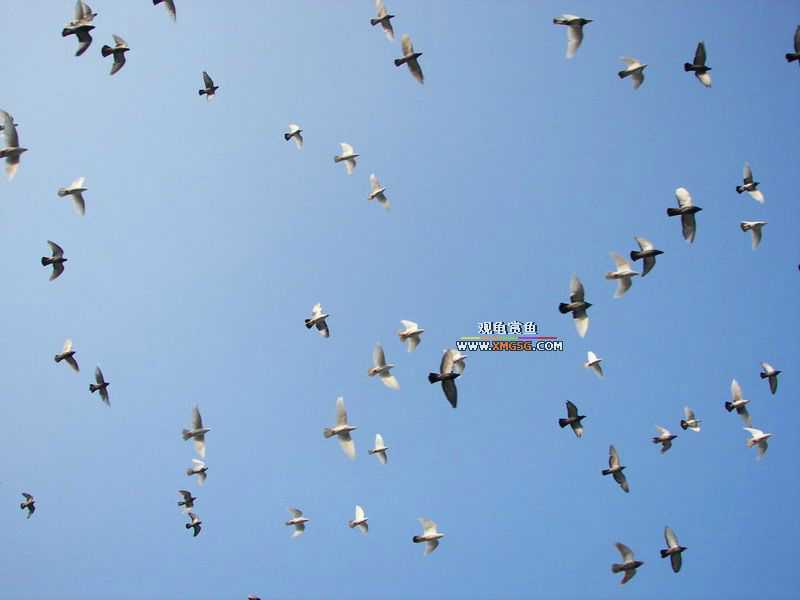 ǰЩʱ���������ĵ�