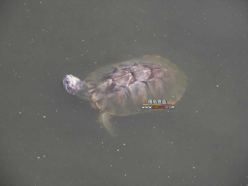 ǰЩʱ���������ĵ�