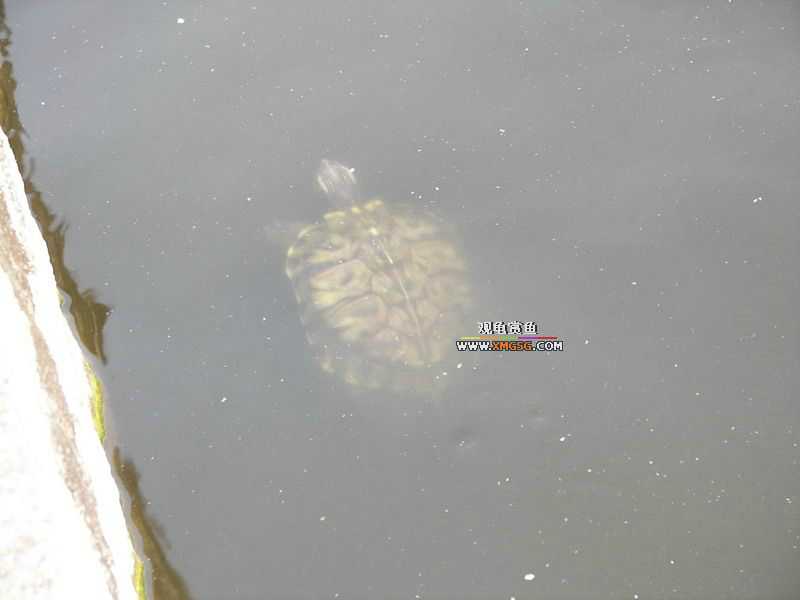 ǰЩʱ���������ĵ�