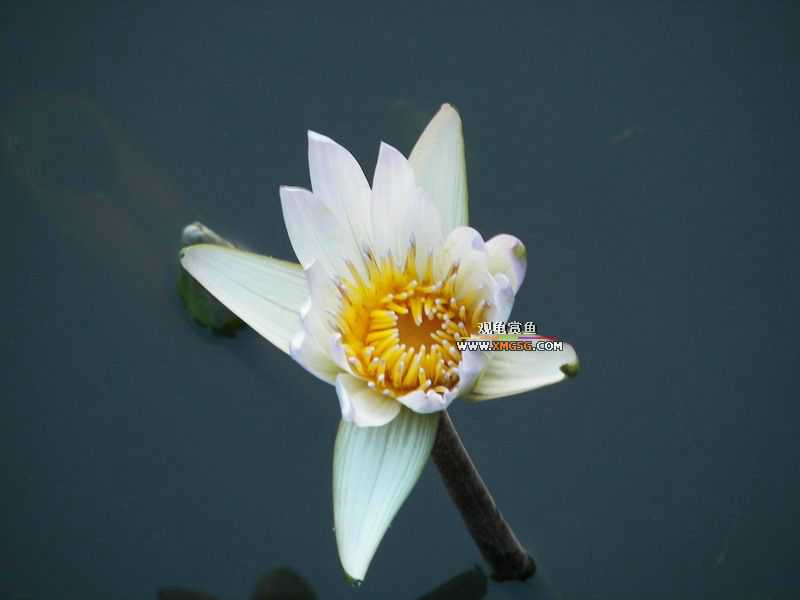 ǰЩʱ���������ĵ�