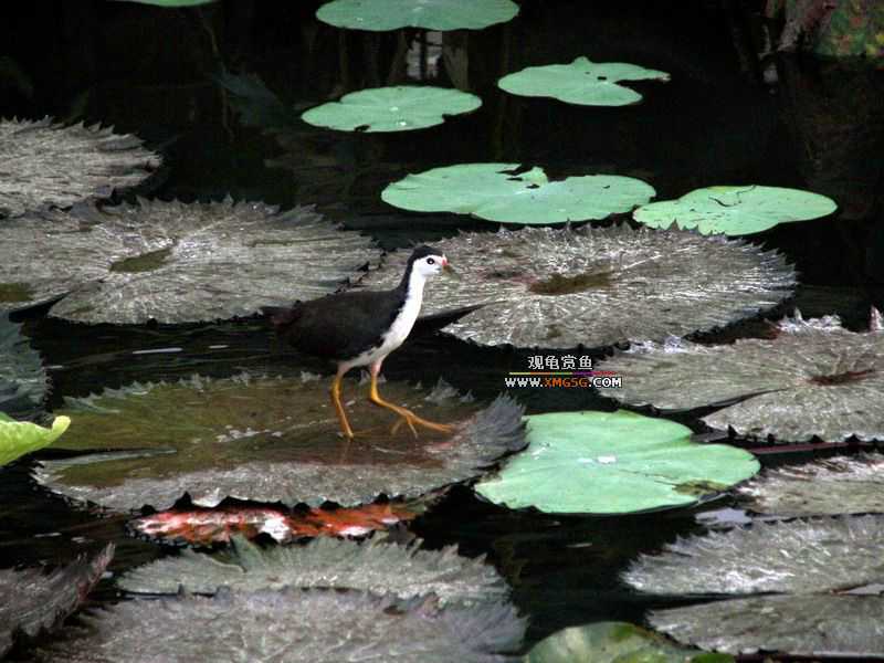 ǰЩʱ���������ĵ�