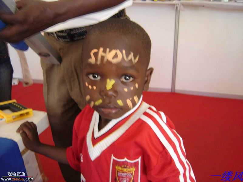 �ڿϵ�һ��ĸ��ܺͲ�����Ƭ