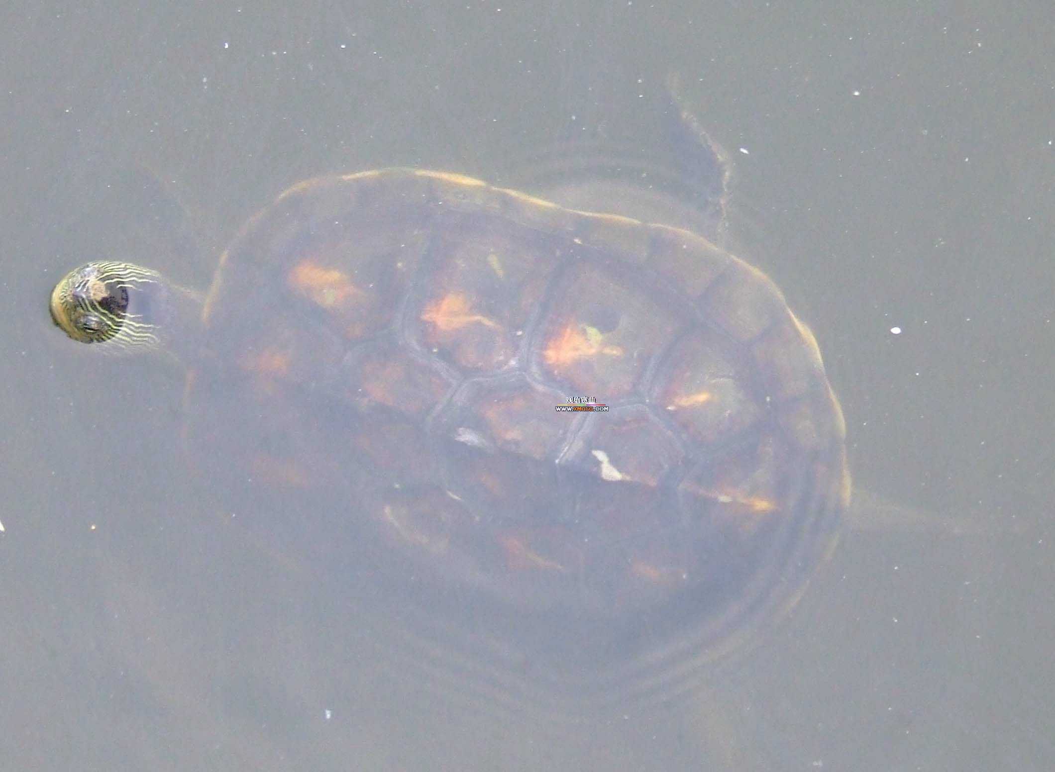 ǰЩʱ���������ĵ�