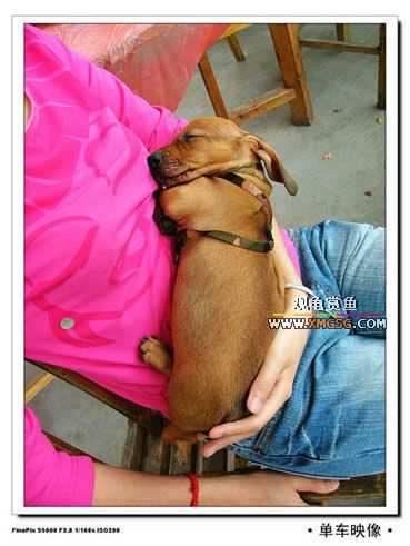 [��ͼ]������ҵ����һ��2006��ɽ����¥