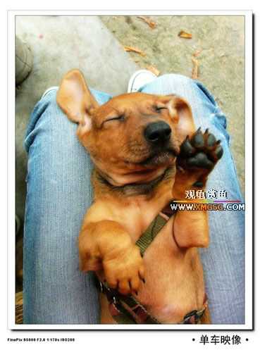 [��ͼ]������ҵ����һ��2006��ɽ����¥