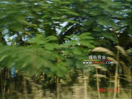 ������ջ�