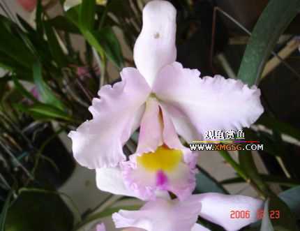 ������ջ�