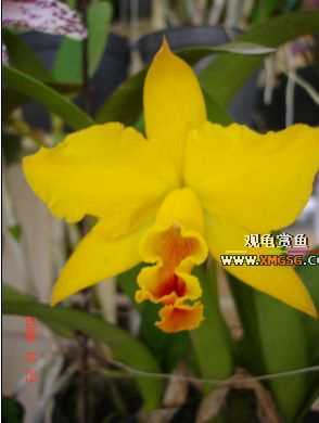 ������ջ�