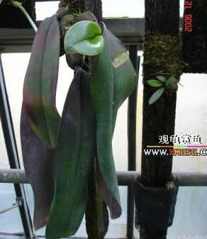 ������ջ�