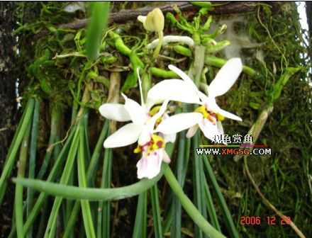 ������ջ�