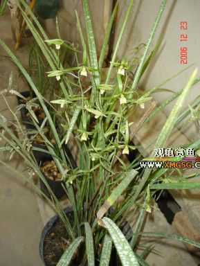 ������ջ�