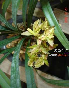 ������ջ�