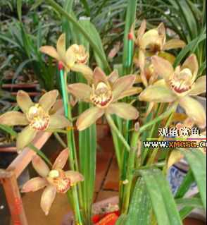 ������ջ�