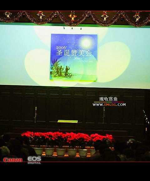 ף�۹������������ʥ�����֣�