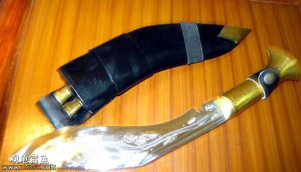 ��Щ������Ƭ