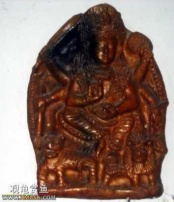 ��Щ������Ƭ