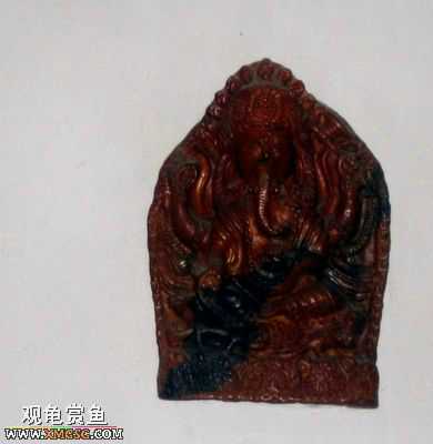 ��Щ������Ƭ