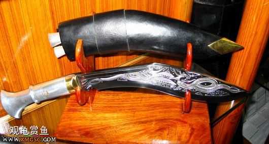 ��Щ������Ƭ