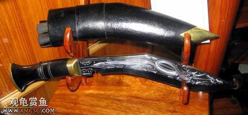 ��Щ������Ƭ