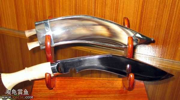 ��Щ������Ƭ