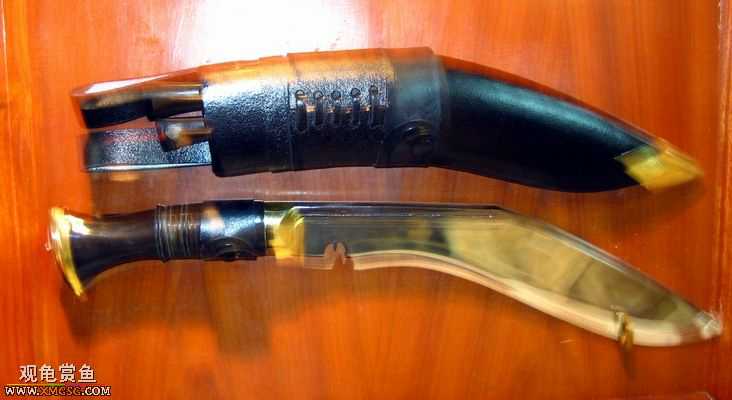 ��Щ������Ƭ