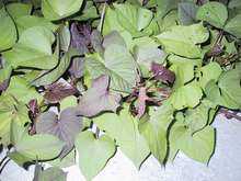 [�Ƽ�]½����ʳͼ�ס�