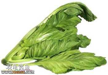 [�Ƽ�]½����ʳͼ�ס�