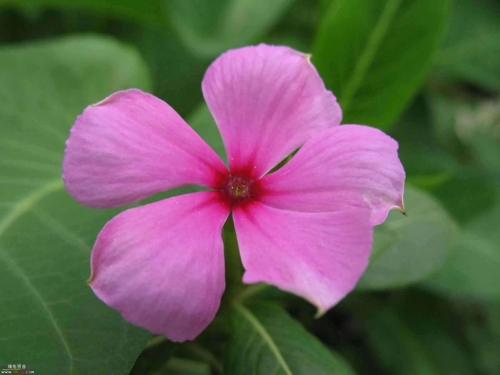 �����������ȥ����